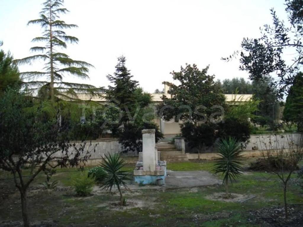 immagine annuncio 2 di 8