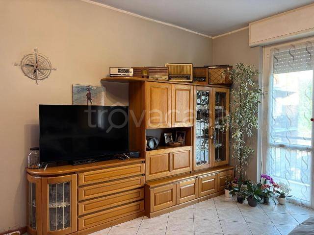 immagine annuncio 3 di 11