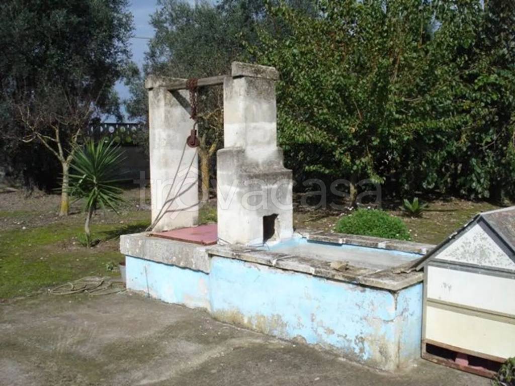 immagine annuncio 6 di 8