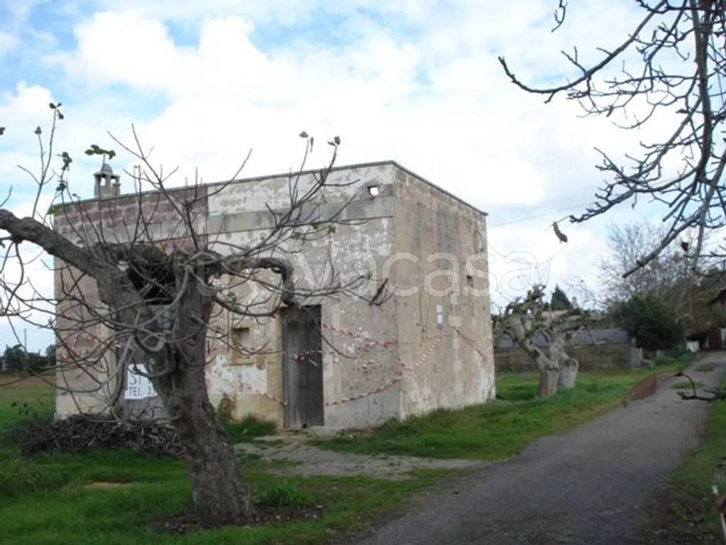 immagine annuncio 2 di 12