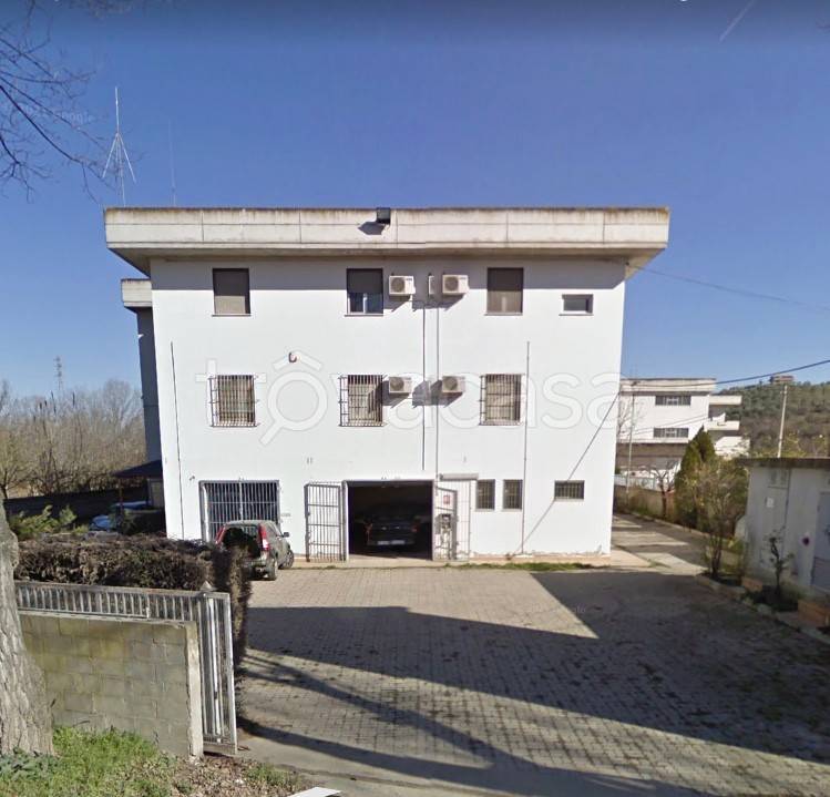 immagine annuncio 5 di 14