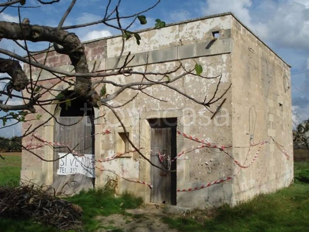 immagine annuncio 9 di 12