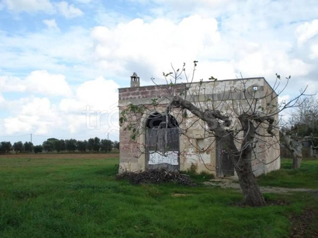 immagine annuncio 10 di 12