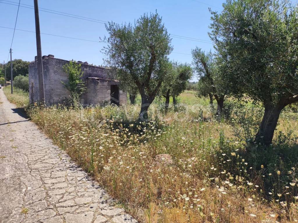 immagine annuncio 2 di 6