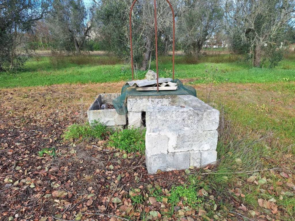 immagine annuncio 3 di 10