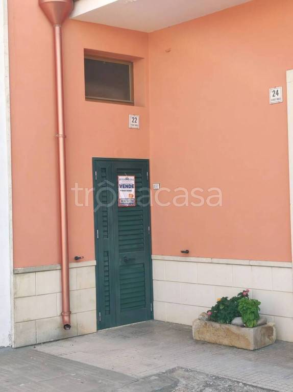 immagine annuncio 3 di 13