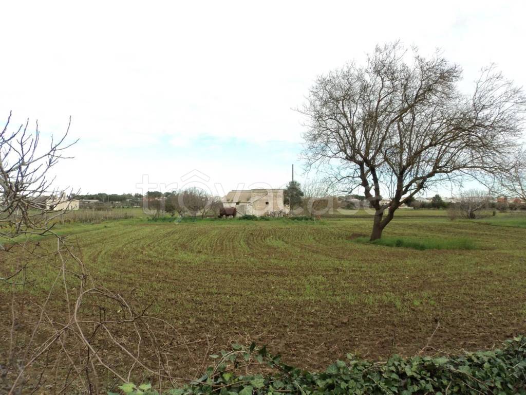 immagine annuncio 2 di 9