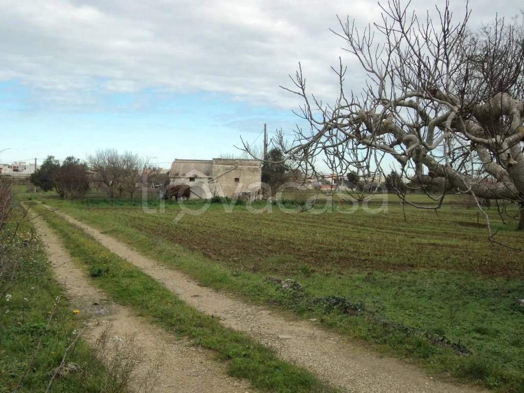 immagine annuncio 8 di 9