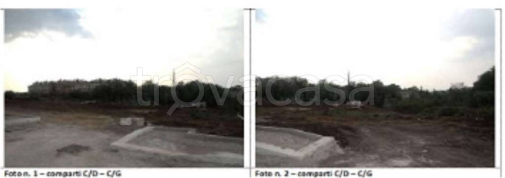 immagine annuncio 3 di 7