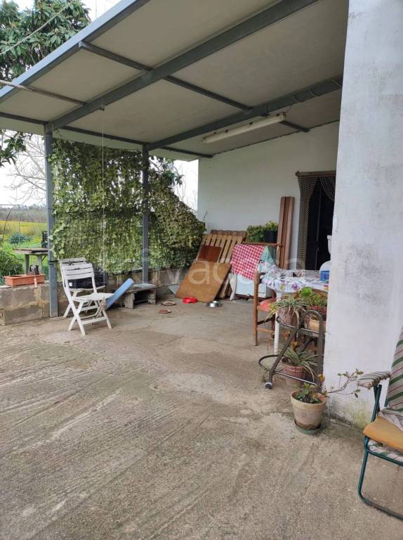 immagine annuncio 7 di 13