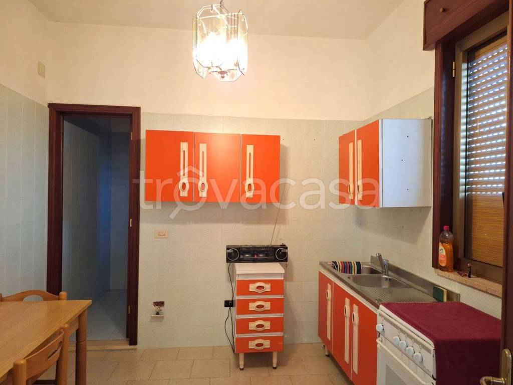 immagine annuncio 4 di 14