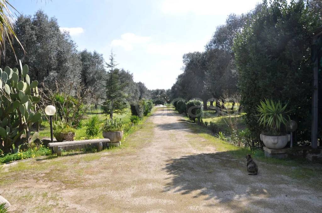 immagine annuncio 7 di 11