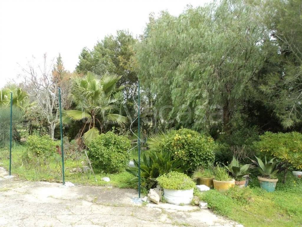 immagine annuncio 6 di 9