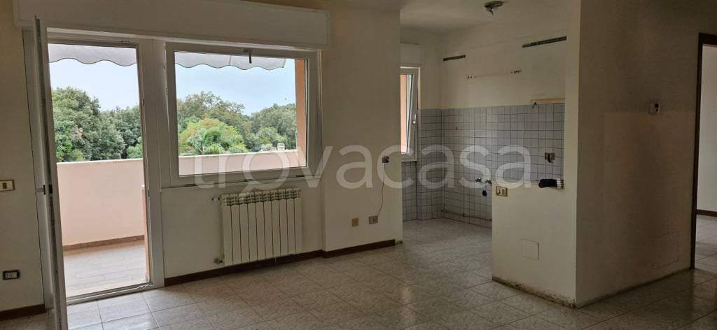 immagine annuncio 2 di 14