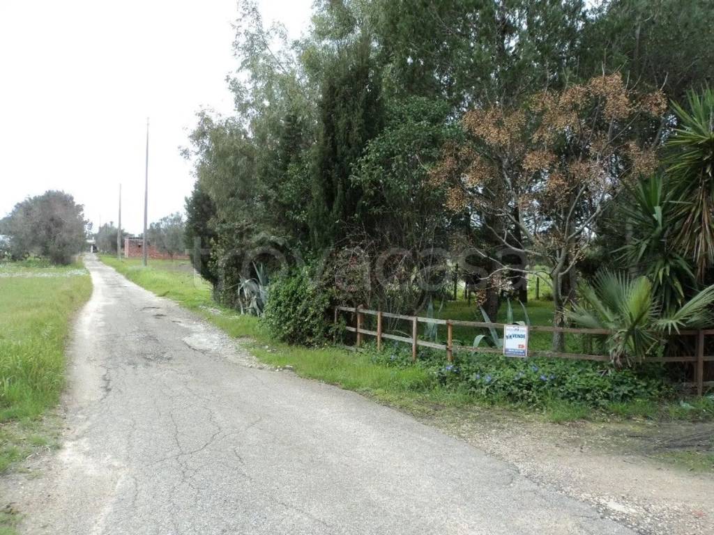 immagine annuncio 3 di 9