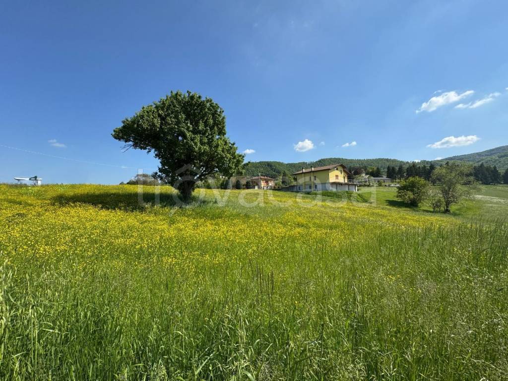 immagine annuncio 4 di 11