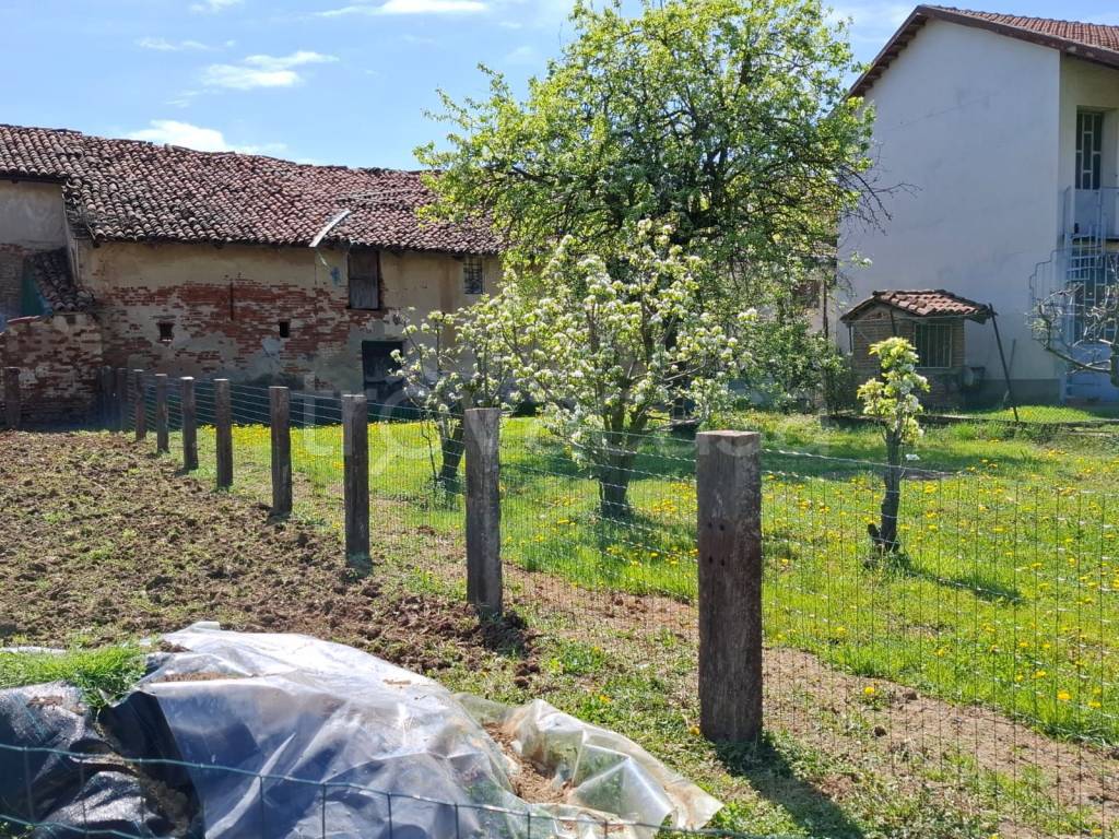 immagine annuncio 10 di 15