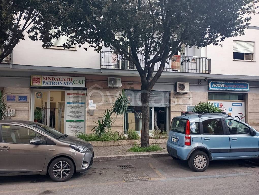 immagine annuncio 2 di 3