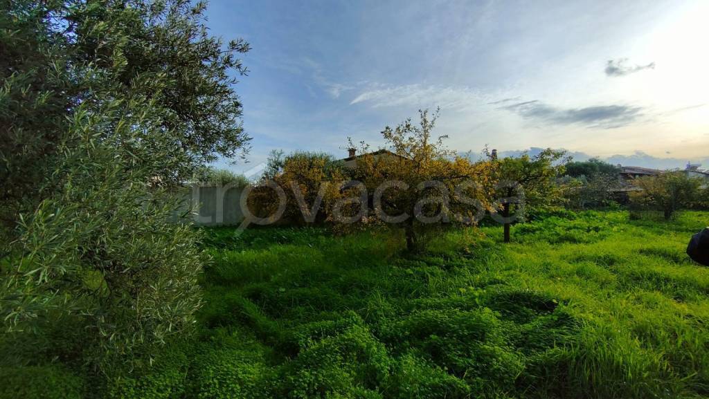 immagine annuncio 3 di 6