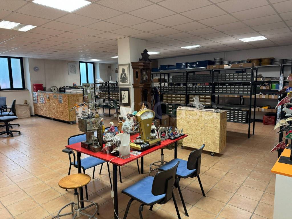 immagine annuncio 6 di 15