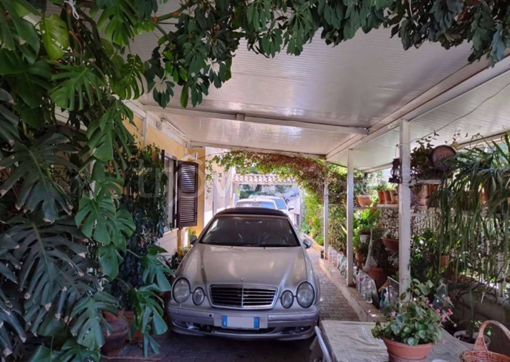 immagine annuncio 3 di 14