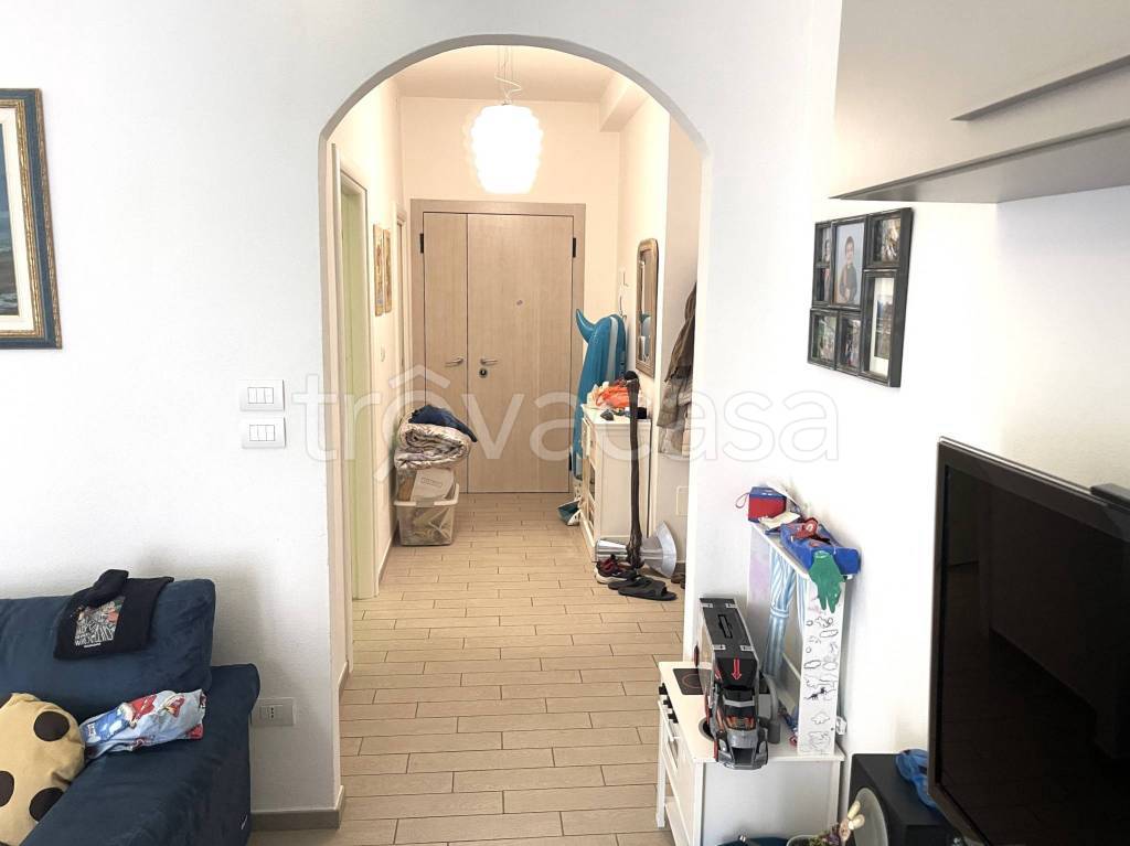 immagine annuncio 5 di 14