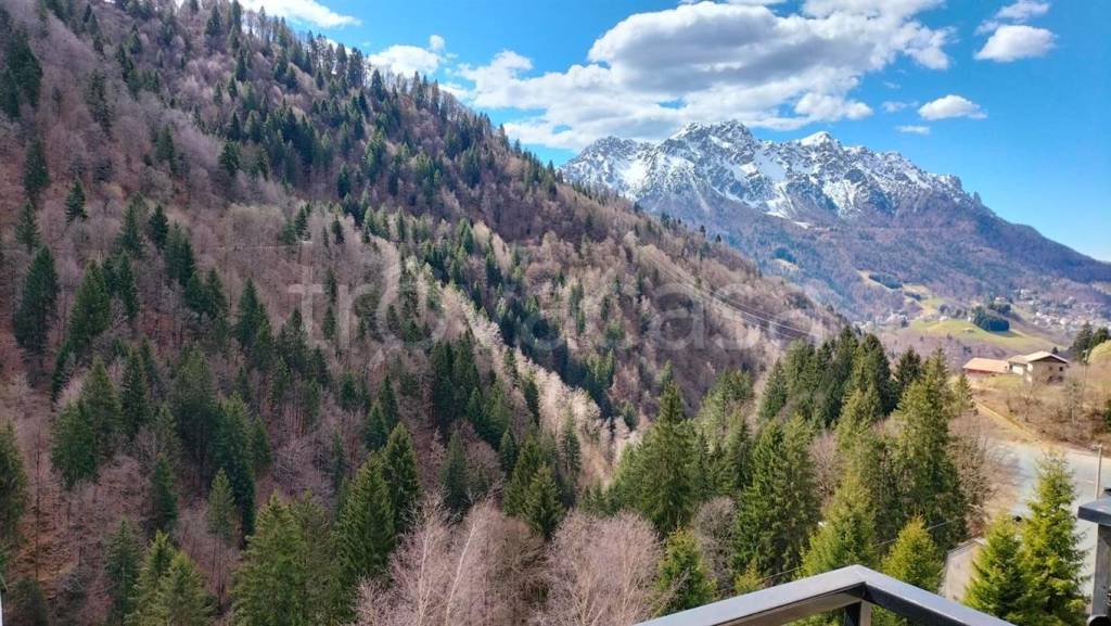 immagine annuncio 7 di 9
