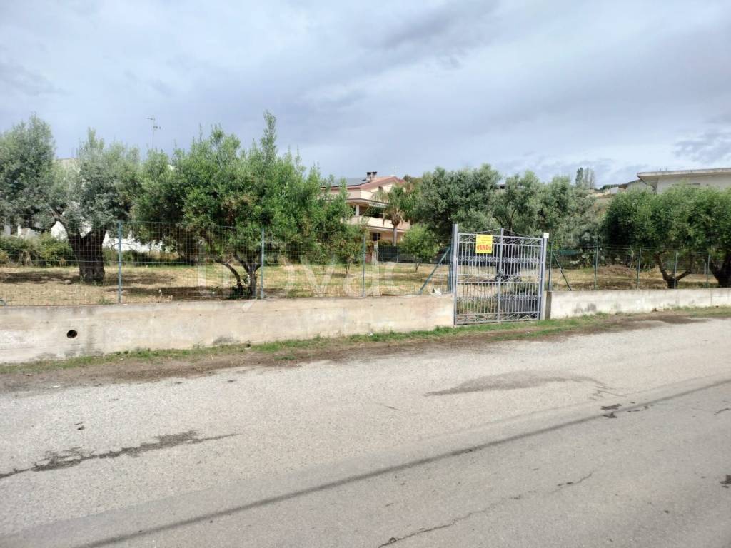 immagine annuncio 1 di 11