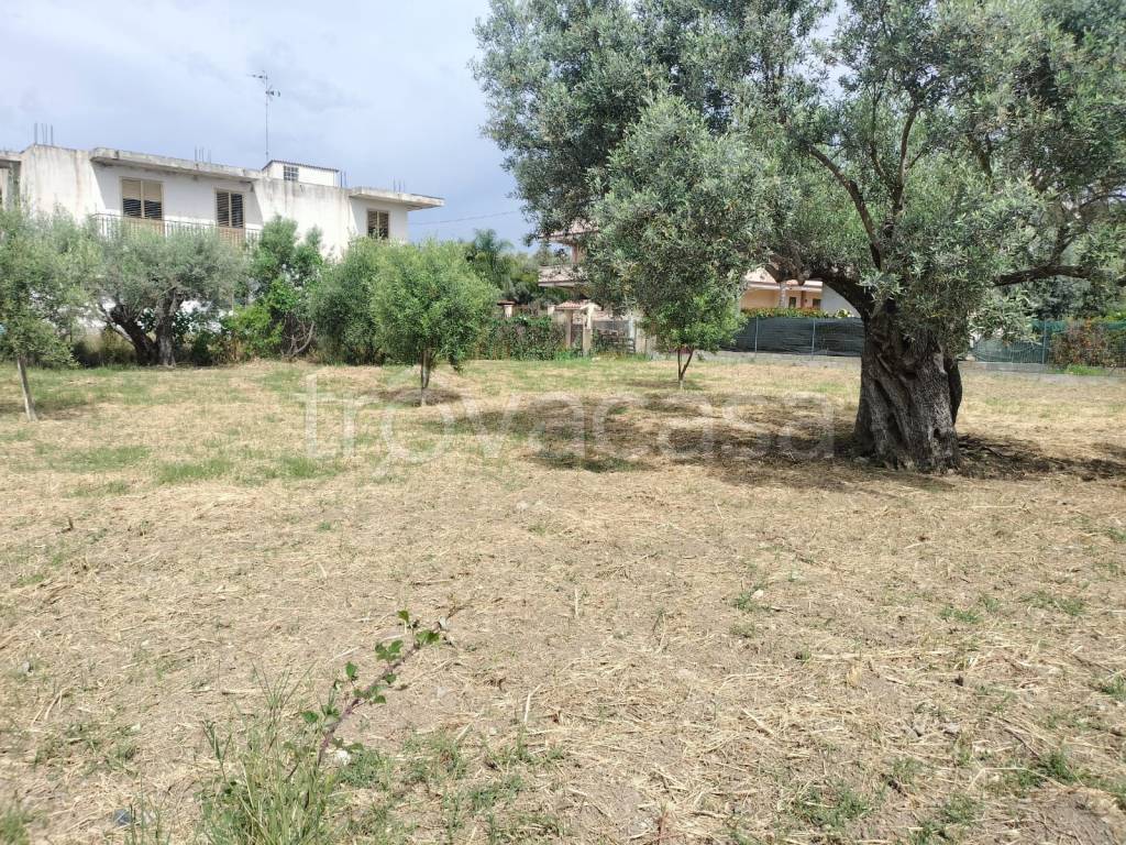 immagine annuncio 4 di 11