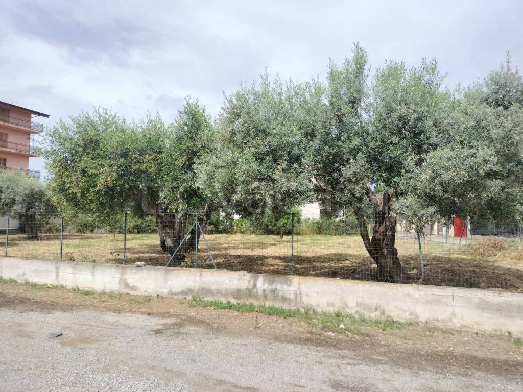 immagine annuncio 5 di 11