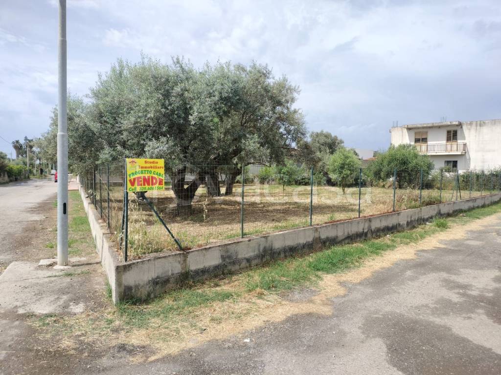 immagine annuncio 7 di 11