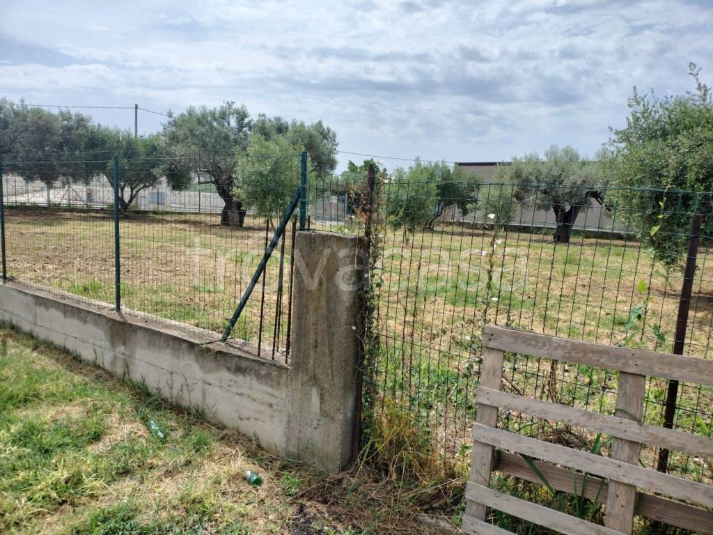 immagine annuncio 8 di 11