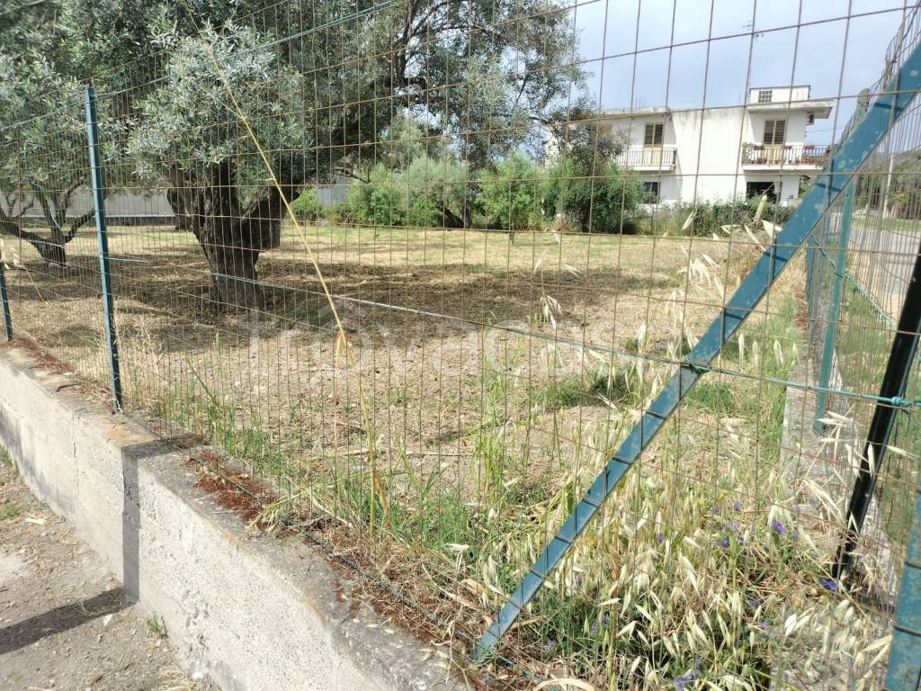 immagine annuncio 9 di 11
