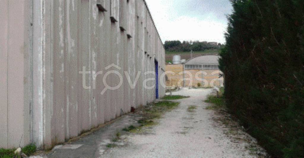 immagine annuncio 3 di 9