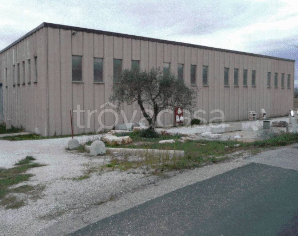 immagine annuncio 8 di 9