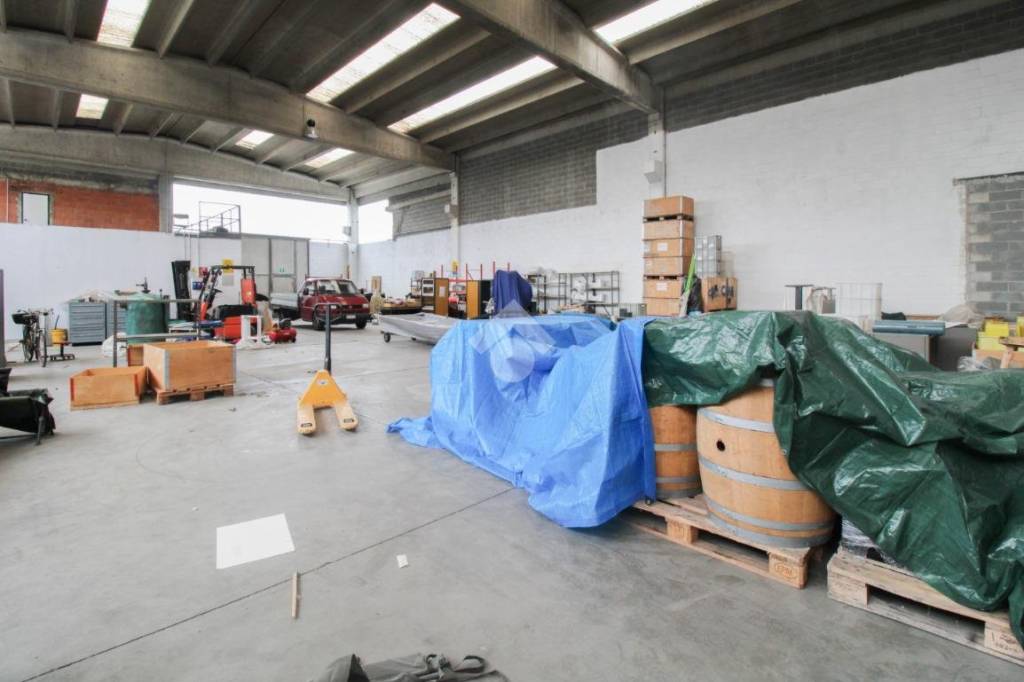 immagine annuncio 2 di 15