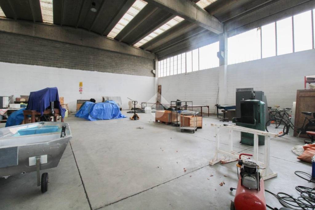 immagine annuncio 5 di 15