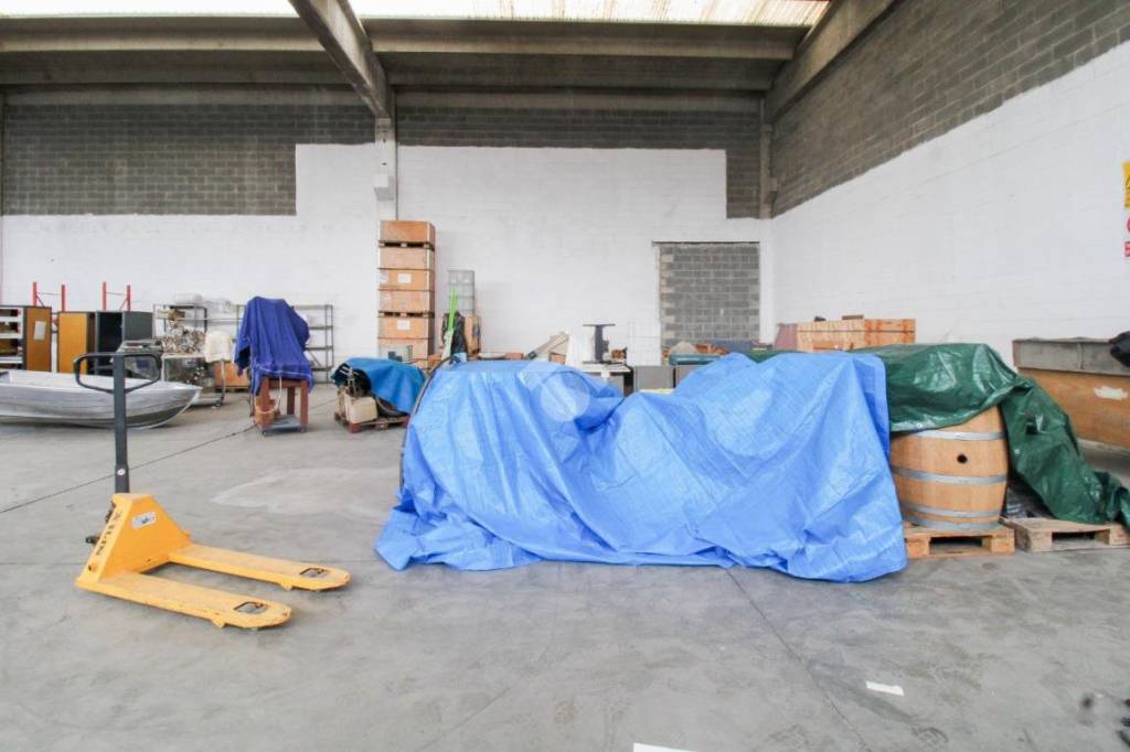 immagine annuncio 12 di 15