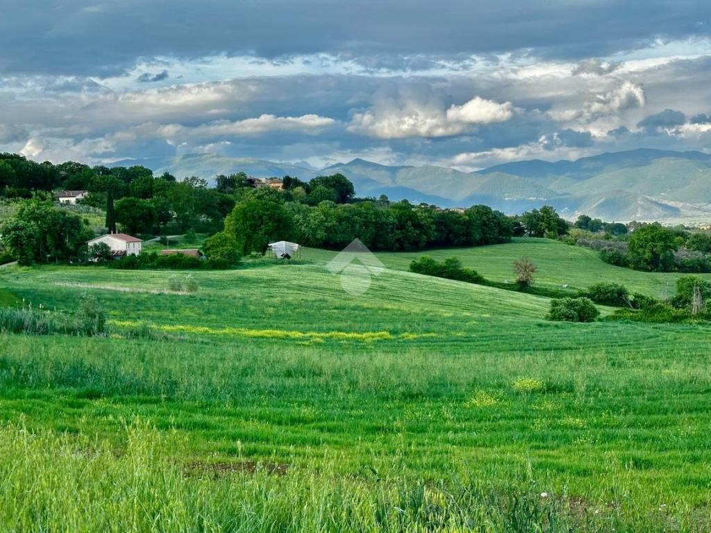 immagine annuncio 1 di 2