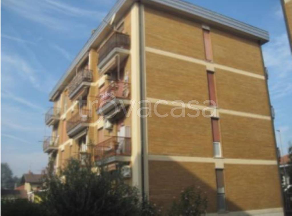 immagine annuncio 2 di 11