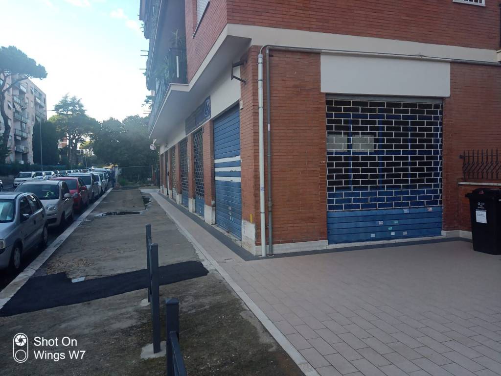 immagine annuncio 1 di 2