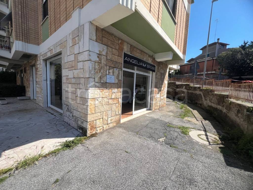 immagine annuncio 11 di 14