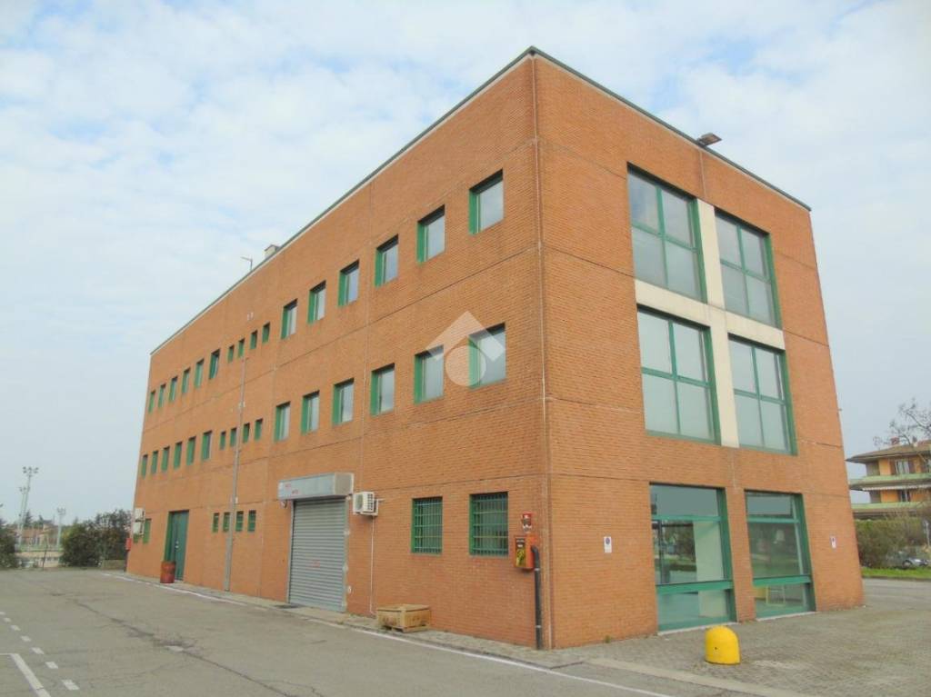 immagine annuncio 3 di 11