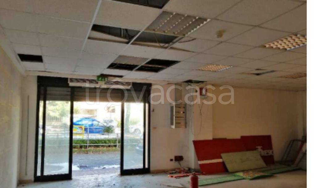 immagine annuncio 7 di 12