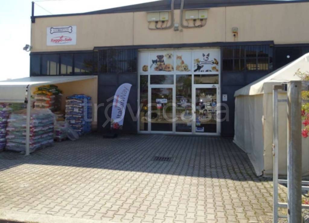 immagine annuncio 2 di 10