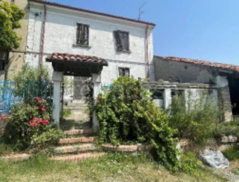 immagine annuncio 1 di 11
