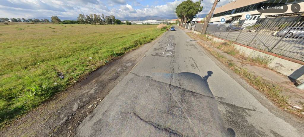 immagine annuncio 12 di 13