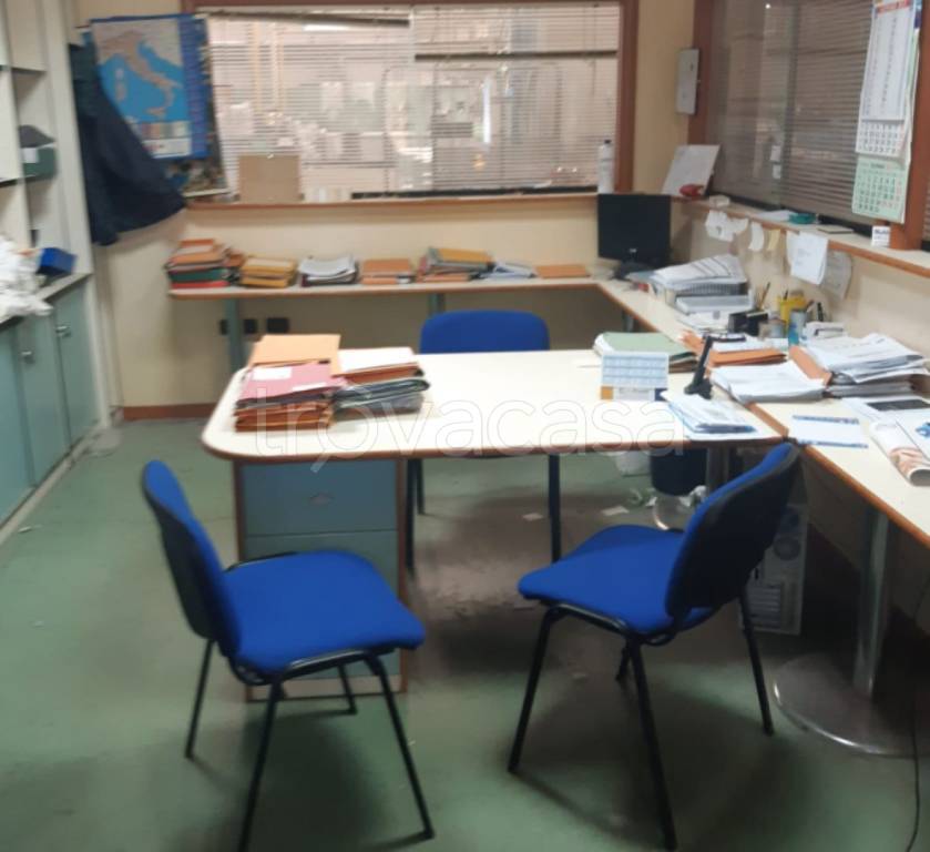 immagine annuncio 2 di 13