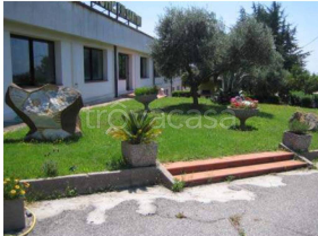 immagine annuncio 4 di 12