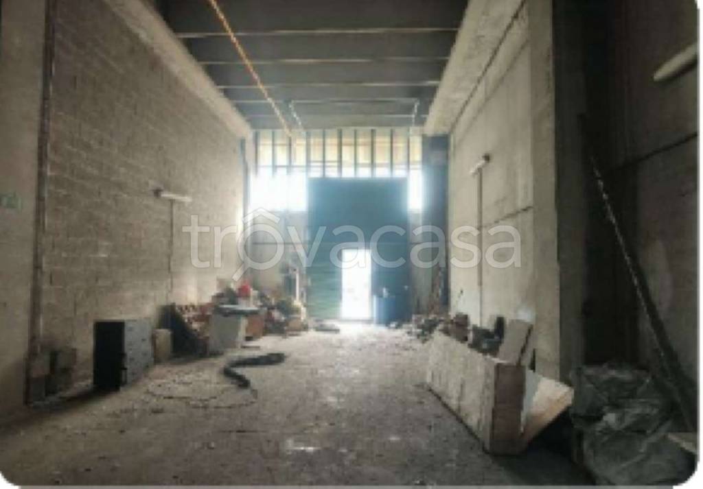 immagine annuncio 3 di 4